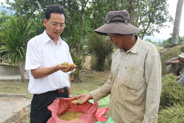 Chủ tịch UBND huyện Krông Bông Huỳnh Bài cùng người dân kiểm tra chất lượng lúa sau thu hoạch.  Ảnh: Gia Nguyên