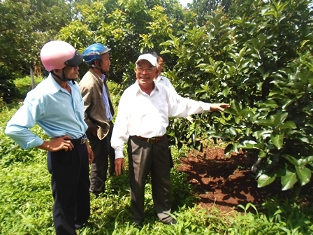 Hội viên nông dân tham quan mô hình trang trại tổng hợp của hộ gia đình ông Nguyễn Văn Minh (tổ liên gia 7, tổ dân phố 5, phường Tân Hòa)