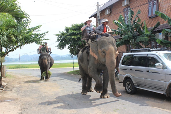 Du khách quốc tế cưỡi voi thăm buôn làng tại Khu du lịch Hồ Lak.