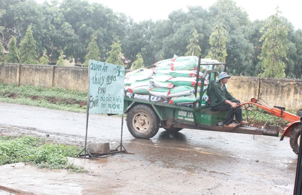 Người dân  xã  Ea Tar (huyện Cư M'gar) mua phân bón với  số lượng lớn  để  chăm sóc cây trồng.