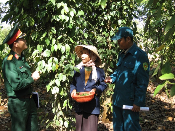 Bà H’Um Bdap cùng với cán bộ Ban Chỉ huy Quân sự huyện  Cư Kuin thăm vụ mùa tiêu đầu tiên của gia đình.