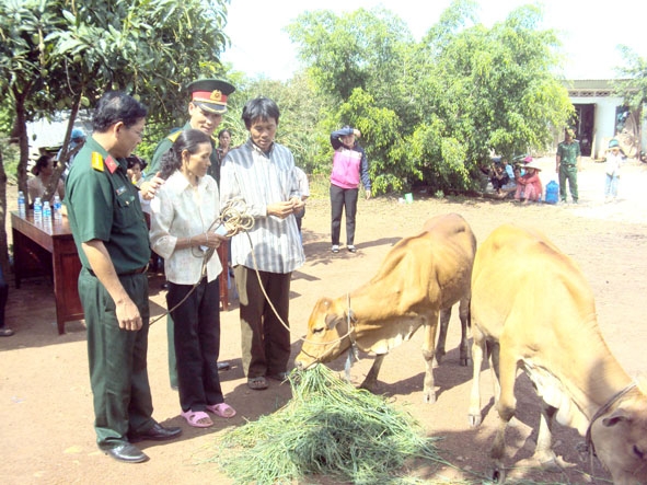 Niềm vui  của gia đình bà Nguyễn Thị Phượng khi được Trung đoàn  584 tặng  bò giống. 