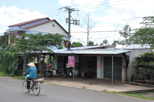 Một trường hợp điển hình vi phạm hành lang an toàn lưới điện tại huyện Cư Kuin.