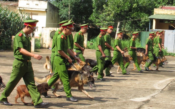 Các “chiến binh” thực hành 15 động tác huấn luyện cơ bản.