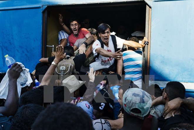 Người di cư chen lấn lên tàu hỏa tại nhà ga Gevgelija ở biên giới Macedonia-Hy Lạp ngày 9-8. (Ảnh: AFP/TTXVN)