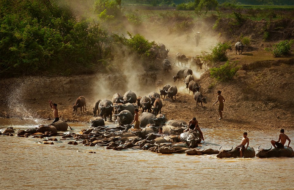 Tác phẩm 