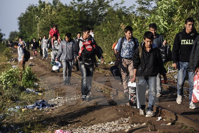 Người di cư tại khu vực biên giới Hungary-Serbia, gần thị trấn Horgos của Serbia ngày 14-9 vừa qua. (Ảnh: AFP/TTXVN)