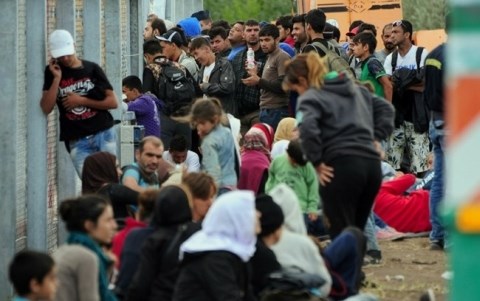 Người nhập cư bị kẹt lại biên giới Hungary- Serbia. Ảnh AP