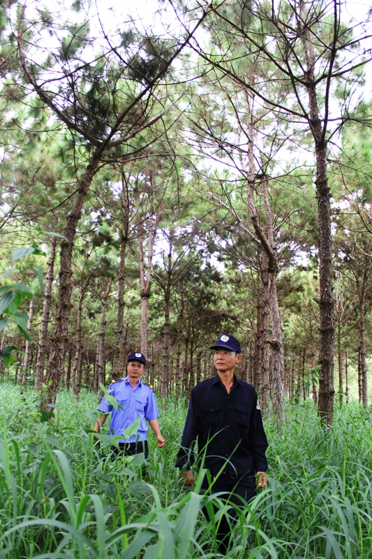 Nhân viên bảo vệ Lâm viên cảnh phường Tân An tuần tra rừng.