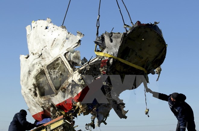 Một phần xác máy bay MH17 ở làng Grabovo, cách Donetsk, Ukraine khoảng 80km về phía Đông ngày 20-11-2014. (Nguồn: Reuters/TTXVN)