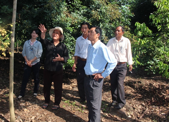 Hội viên nông dân TP. Buôn Ma Thuột tham quan mô hình trang trại  tổng hợp của gia đình bà Nguyễn Thị Hoàng Phương.
