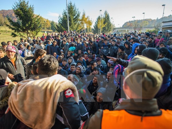 Người di cư tại khu vực biên giới Slovenia-Áo. (Nguồn: AFP/TTXVN)