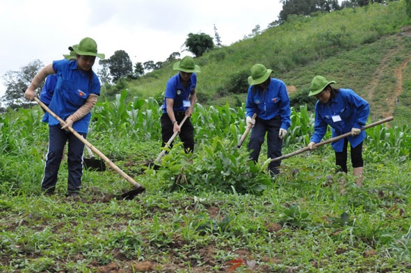 Đoàn viên thanh niên huyện Krông Ana giúp người dân xã Ea Bông làm đất trồng hoa màu. Ảnh: Lê Thành