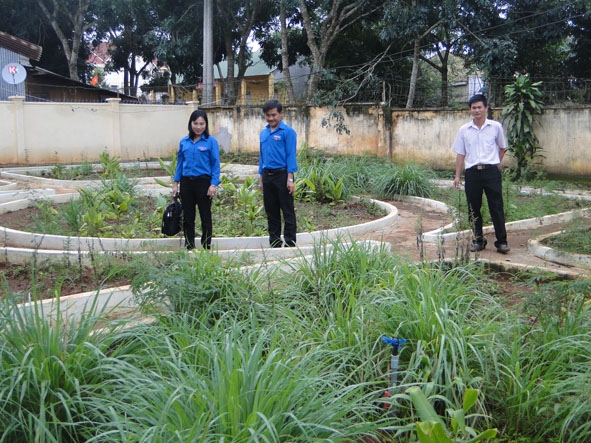 Công trình thanh niên Vườn cây thuốc nam của Đoàn Trường THPT Phan Bội Châu.