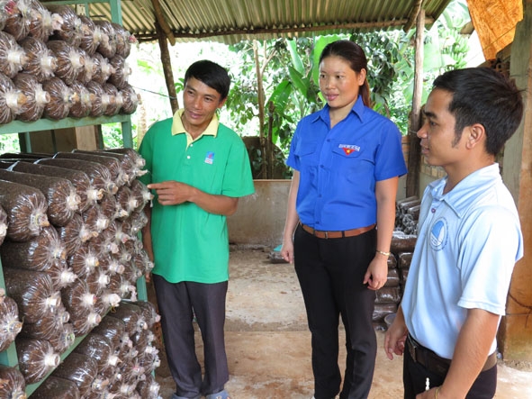 Anh Đinh Ái Thương (trái) giới thiệu mô hình trồng nấm của gia đình.