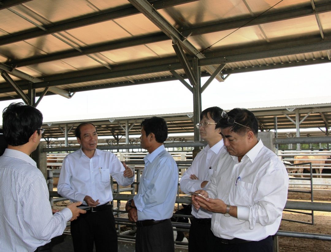 Đoàn công tác kiểm tra dự án chăn nuôi của Công ty TNHH Liên hợp công – nông nghiệp phát triển bền vững Sao Đỏ tại xã Ea Lai
