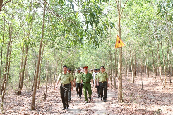 Kiểm tra công tác PCCCR trên diện tích rừng trồng của Công ty TNHH Tín Phát (Krông Năng).