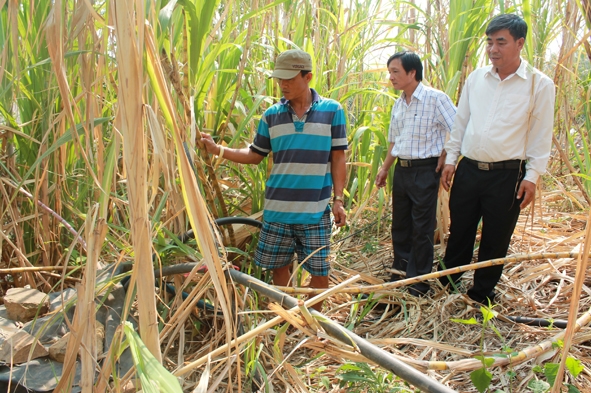 Cán bộ Phòng NN-PTNT huyện Krông Bông cùng chính quyền địa phương kiểm tra giếng đào và việc chia sẻ nguồn nước cho người dân của gia đình anh Nguyễn Văn Bảo (thôn 4, xã Yang Reh).