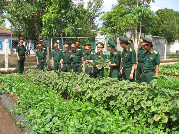 Kiểm tra công tác tăng gia tại Đại đội 5 (Ban CHQS huyện Buôn Đôn).