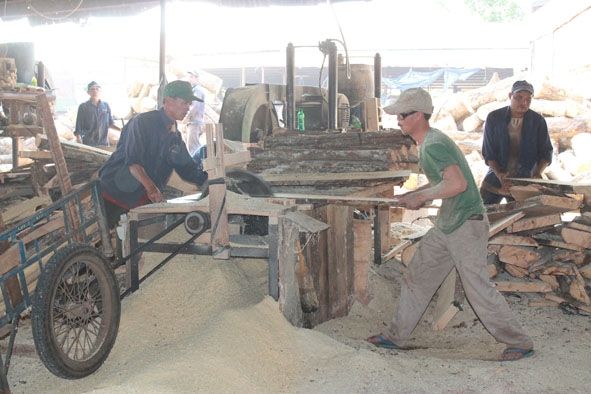 Công nhân lao động Công ty Cổ phần Chế biến gỗ cao su Đắk Lắk chưa sửa dụng đầy đủ các phương tiện bảo vệ cá nhân trong quá trình làm việc.