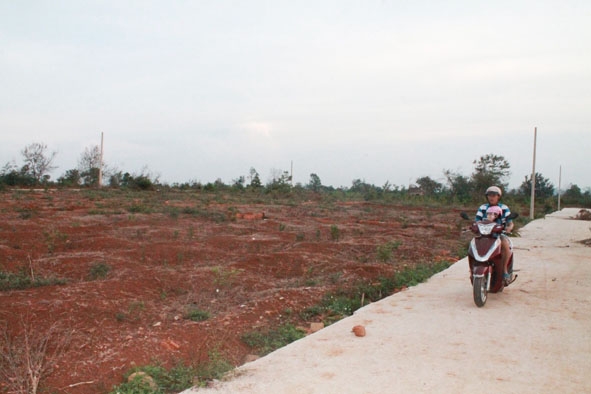 Một khu đất nông nghiệp được phân lô bán nền trên đường vành đai phía tây Buôn Ma Thuột đoạn qua phường Tân Lợi.