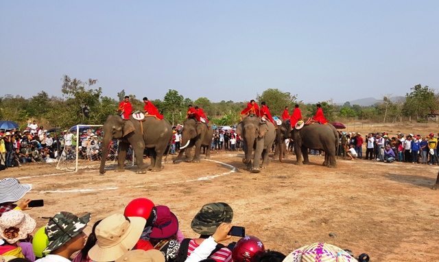 Hội voi truyền thống ở Buôn Đôn thu hút nhiều người dân và khách du lịch đến tham dự