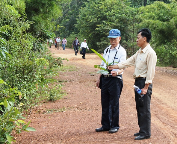 Đoàn cán bộ Hội Bảo vệ thiên nhiên và Môi trường Việt Nam khảo sát hệ sinh thái rừng khộp VQG Yok Đôn.