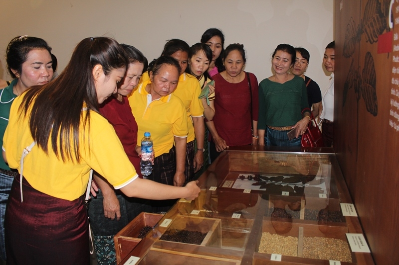 Các đại biểu tham quan tại Bảo tàng tỉnh Đắk Lắk