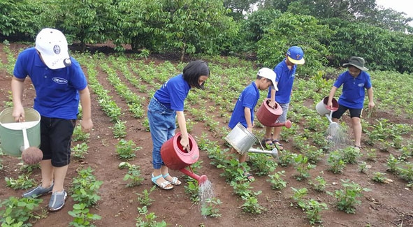 Học viên của Trung tâm bồi dưỡng văn hóa và luyện chữ đẹp Minh Chi tham gia trải nghiệm  làm nông dân.