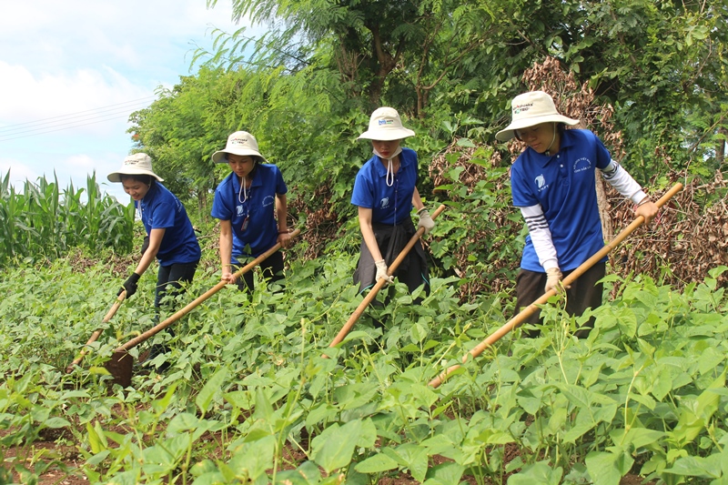 TNTN làm cỏ giúp nguwòi dân