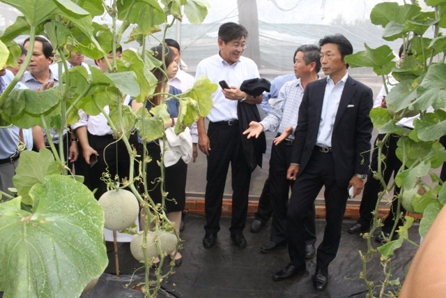 Đoàn công tác  thăm vườn thực nghiệm dưa lưới ứng dụng nông nghiệp công nghệ cao của huyện.