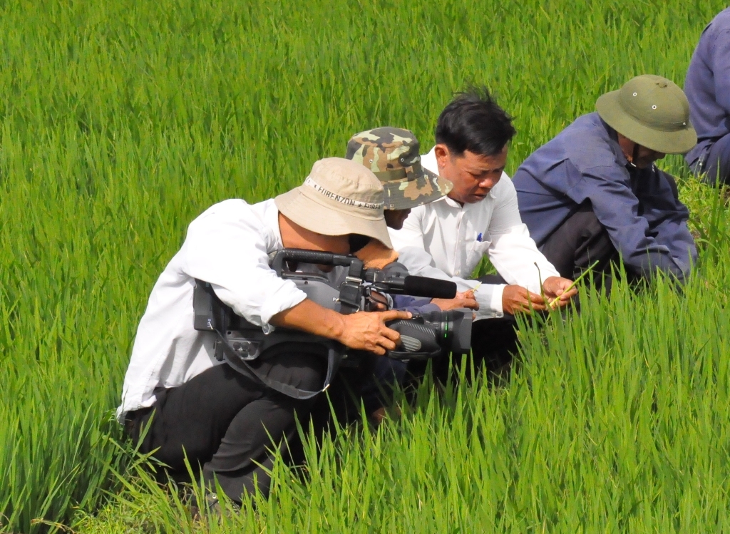 Phóng viên Đài PT-TH Đắ k Lắ k đang tác nghiệp trên cánh đồng của Công ty TNHH Cà phê 721 (Ea Kar)