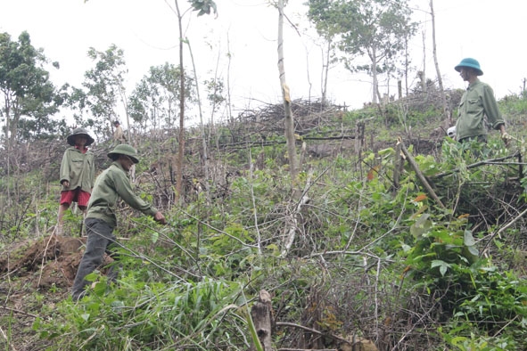 Người dân huyện Krông Pắc được giao đất trồng rừng.