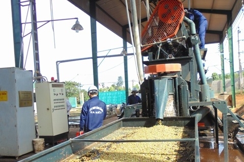Chế biến cà phê ướt tại HTX nông nghiệp dịch vụ công bằng Ea Kiết