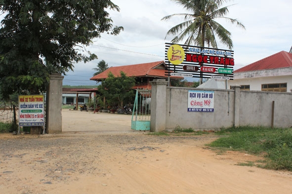 Lô đất ở thôn 18, xã Ea Riêng do Công ty TNHH MTV Cà phê 715A cho thuê đang bị sử dụng sai mục đích  nhưng chưa được xử lý dứt điểm.