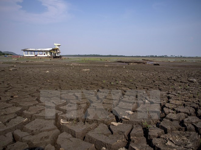 Cảnh khô hạn do biến đổi khí hậu. (Ảnh minh họa. Nguồn: AFP/TTXVN)