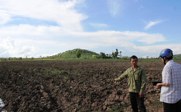 Diện tích trồng cao su thí điểm của Công ty TNHH Anh Quốc tại xã Cư M’lan, huyện Ea Súp nay chỉ còn là bãi đất trống.    										           Ảnh: Vạn Tiếp