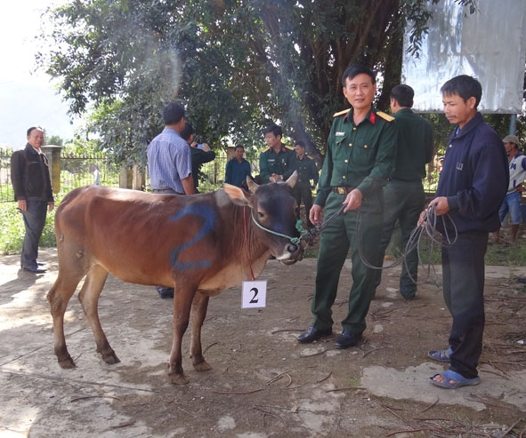 Lãnh đạo Ban CHQS huyện Cư M’gar tặng bò sinh sản cho hộ nghèo.  Ảnh:  Thế Hùng