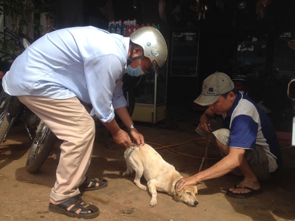 Cán bộ thú y xã Cư M’gar tiêm phòng dại cho chó do người dân nuôi trên địa bàn.
