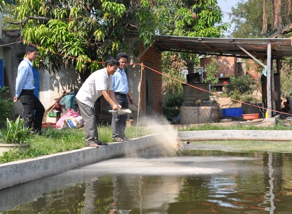 Một mô hình sản xuất hiệu quả từ vốn vay NHCSXH tại huyện Krông Bông.