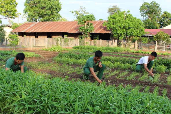 Cán bộ, chiến sĩ Đồn Biên phòng Yok Đôn tăng gia sản xuất. 