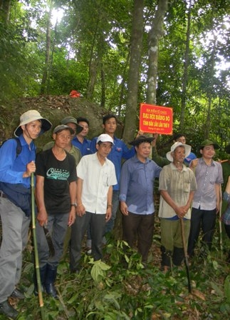 Khảo...