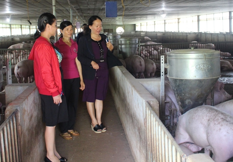 Cán bộ Hội Nông dân tỉnh tham quan trang trại chăn nuôi của hội viên nông dân huyện Cư Kuin