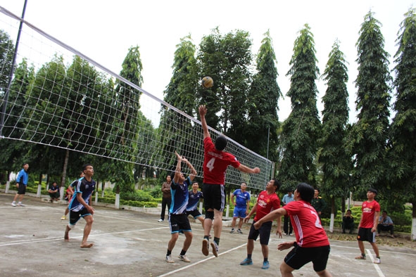 Các vận động viên thi đấu môn bóng chuyền.