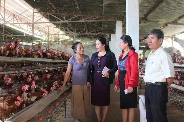 Cán bộ Hội Nông dân tỉnh tham quan mô hình chăn nuôi gà siêu trứng của nông dân huyện Cư Kuin