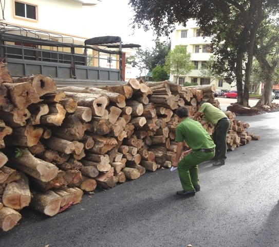 Lực lượng chức năng kiểm đếm, thống kê số gỗ lậu được chuyển xuống từ xe tải.