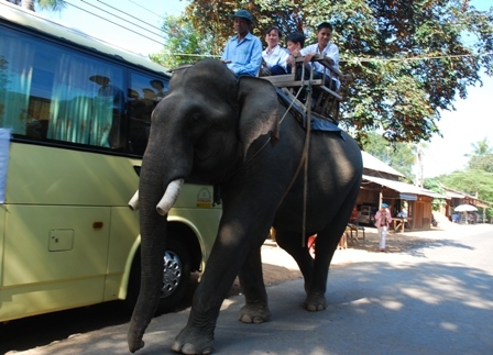 Các chủ voi tham gia hoạt động du lịch sẽ được tập huấn kỹ năng, nghiệp vụ du lịch trong thời gian tới