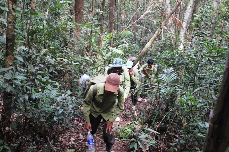 Tuần tra bảo vệ rừng ở VQG Chư Yang Sin