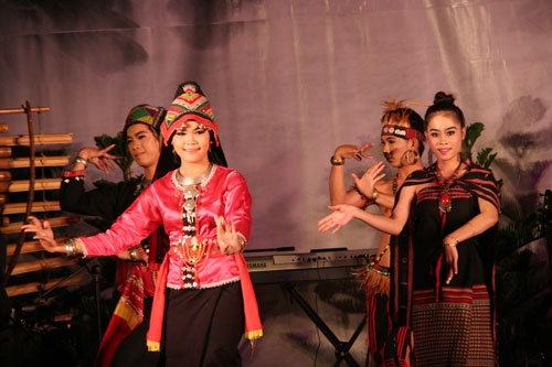 Điệu dân vũ của đoàn nghệ thuật tỉnh Champasak