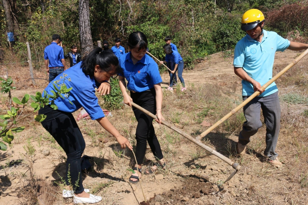 Đoàn viên thanh niên huyện Ea Súp tham gia trồng cây phân tán (ảnh minh họa)